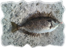 20101014082150.jpg