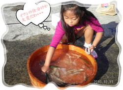 SANY0516.jpg